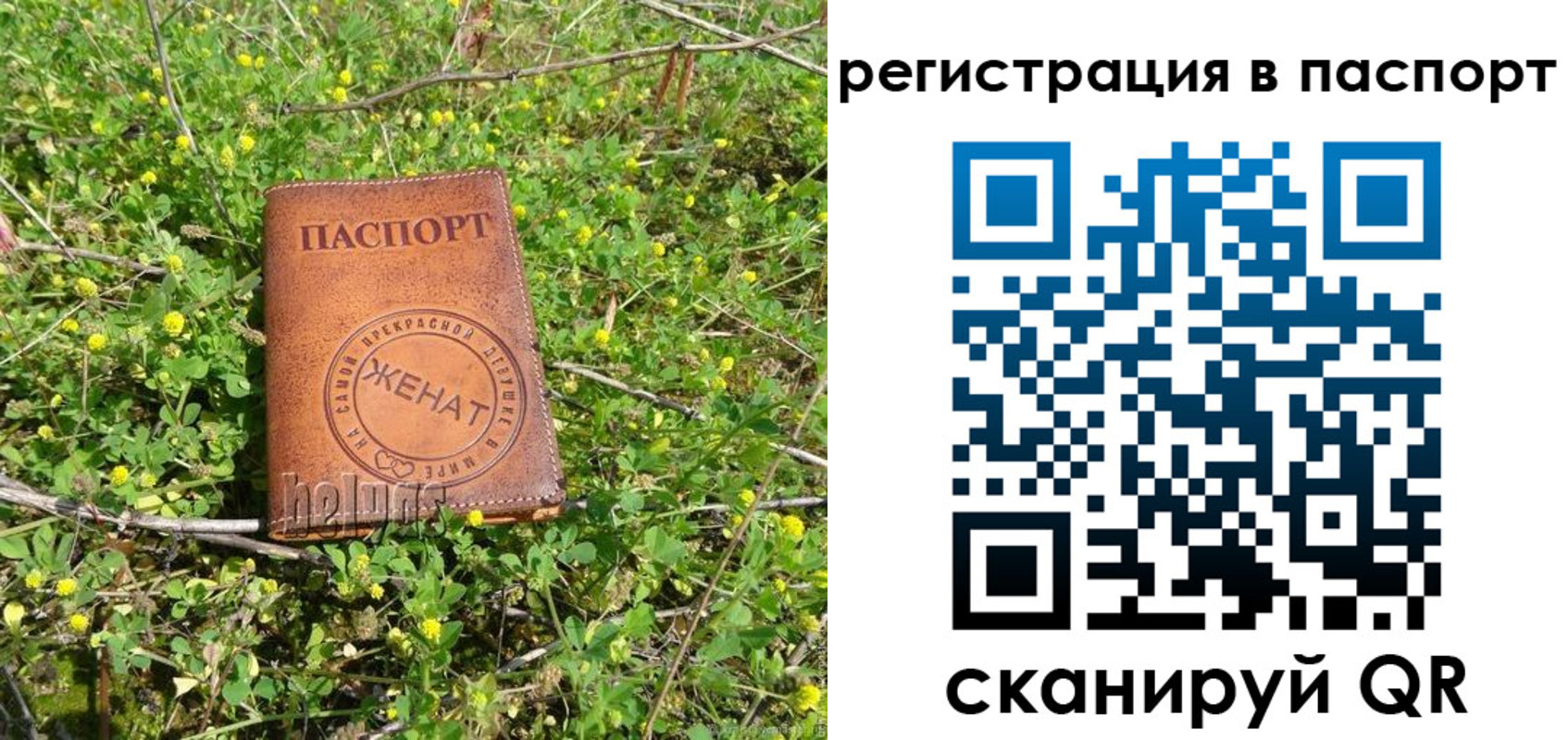 прописка законно в Гурьевске
